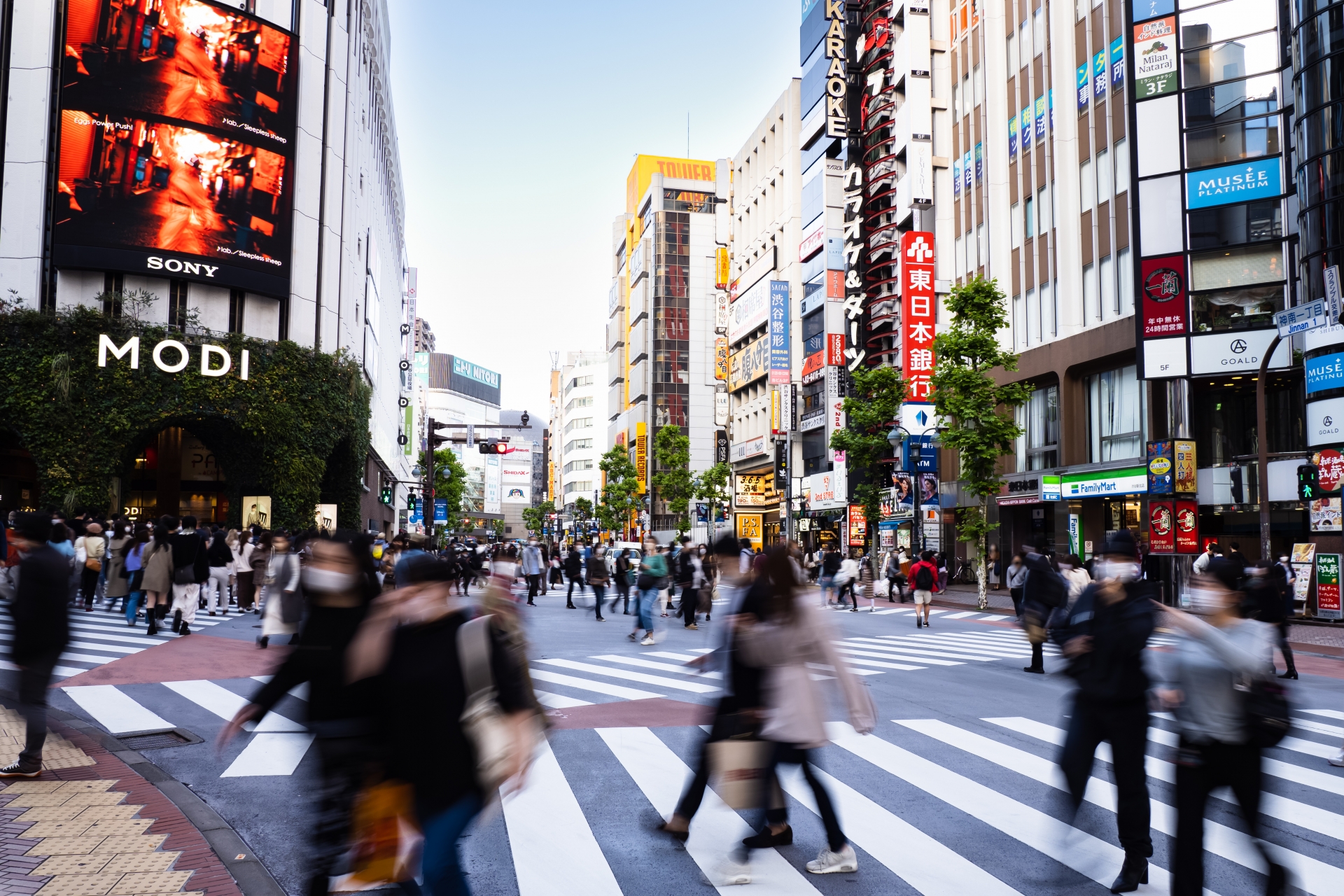 行方・所在調査